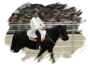 Partner Pferd 2015